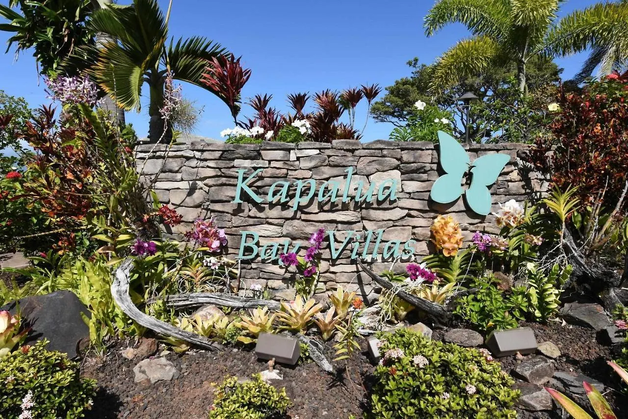 Апартаменты Kapalua Bay Villa 30G1 Condo Кахана